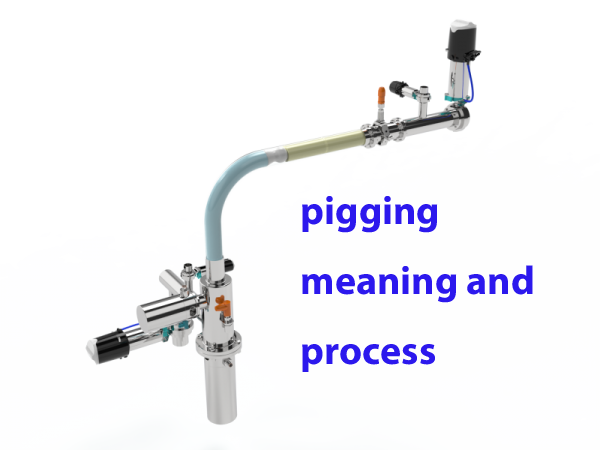 pigging-meaning-and-process